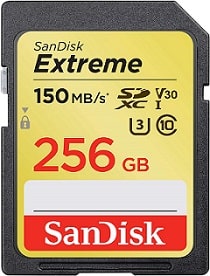 Memoria SD 256GB