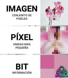 imagen pixel bit
