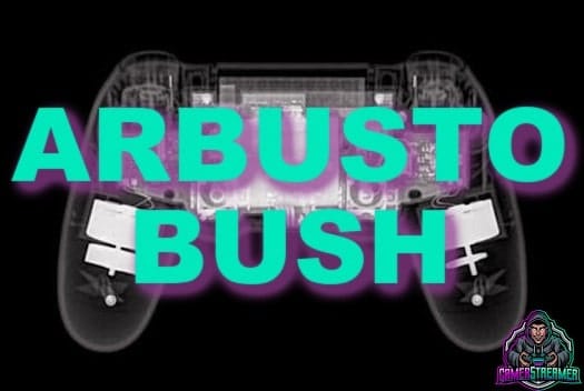significado arbusto bush